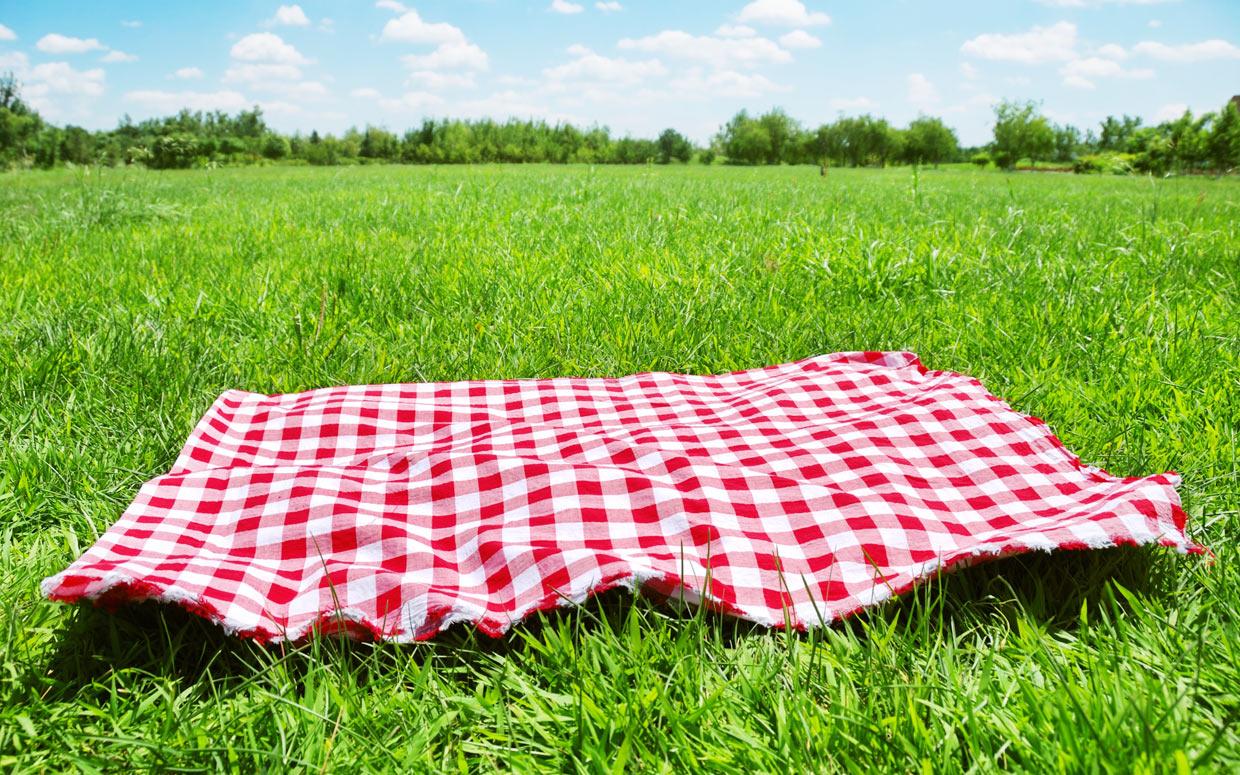 Silicon Valley Annual Summer Picnic & Welcome Party – August 20, 2017